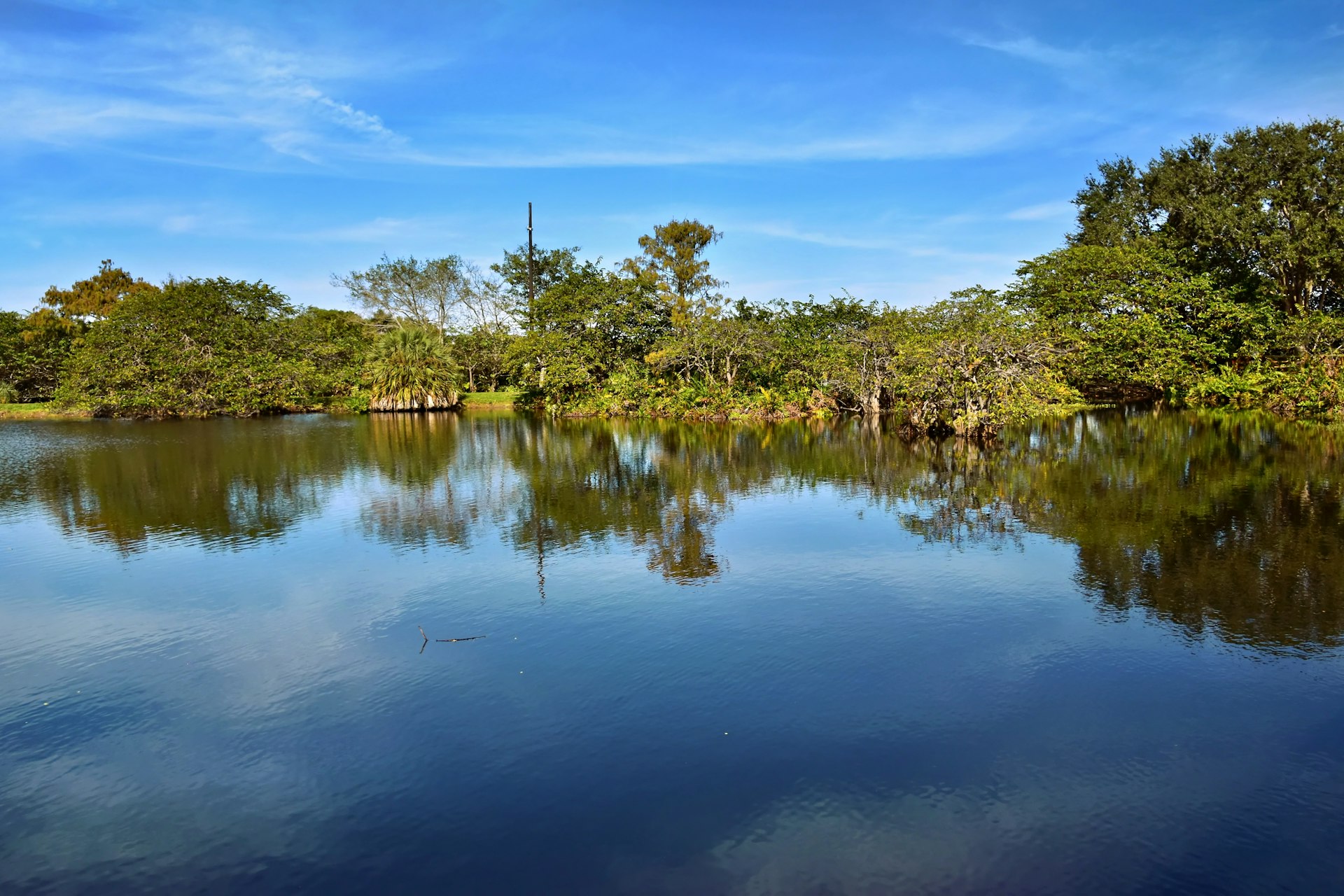 Calm lake reflecting trees under a blue sky.