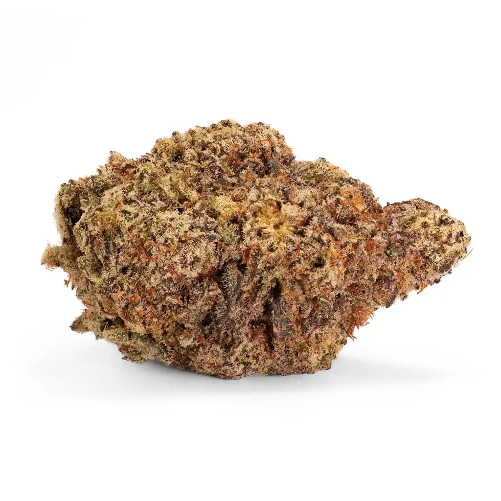 All Nations MD 25/1 (Mac Daddy)