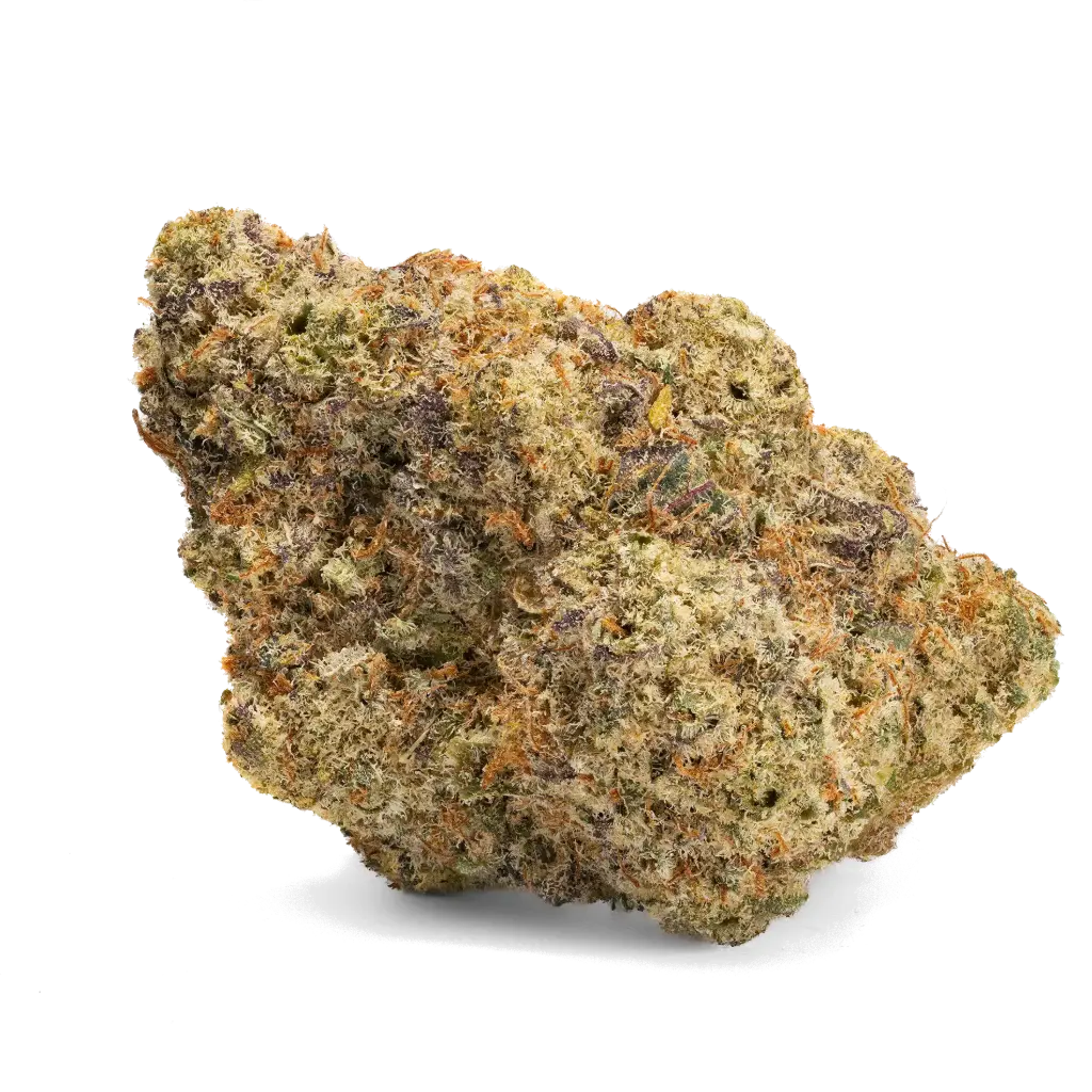 All Nations GM PT (Mac Doughnut)