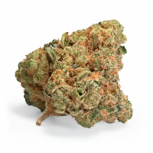 Pedanios 29/1 SRD-CA