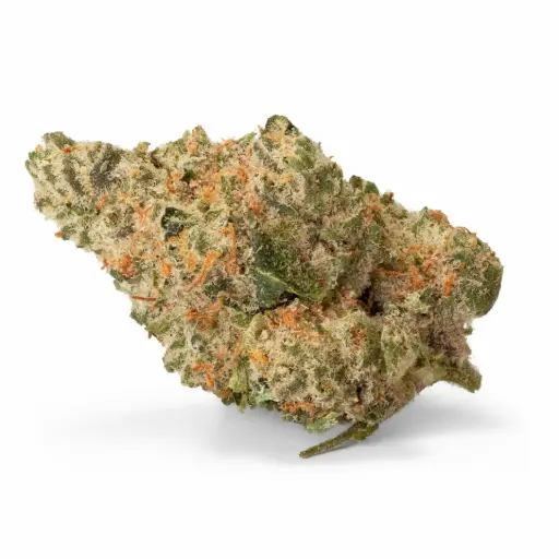 420 Evolution 27/1 CA ICC (Ice Cream Cake Kush Mints)