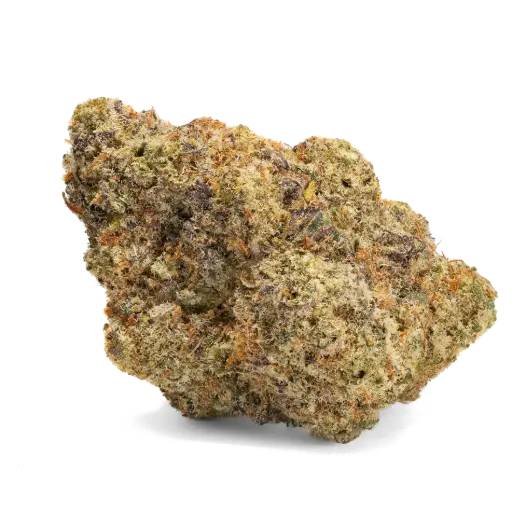 All Nations GM PT (Mac Doughnut)